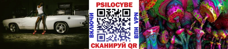 Купить где  Чаплыгин  Галлюциногенные грибы Magic Shrooms 